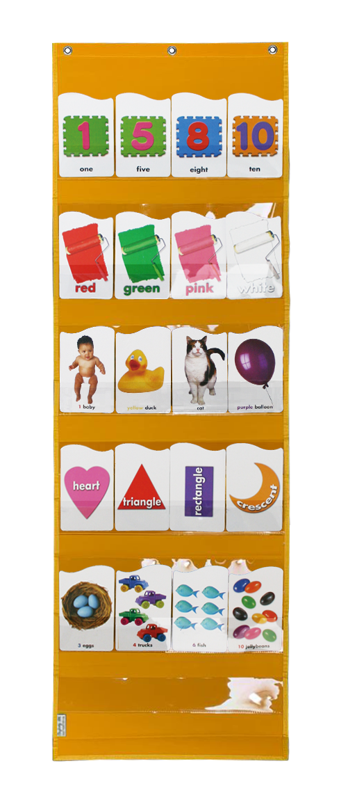 Large Flash Card Pocket Chart