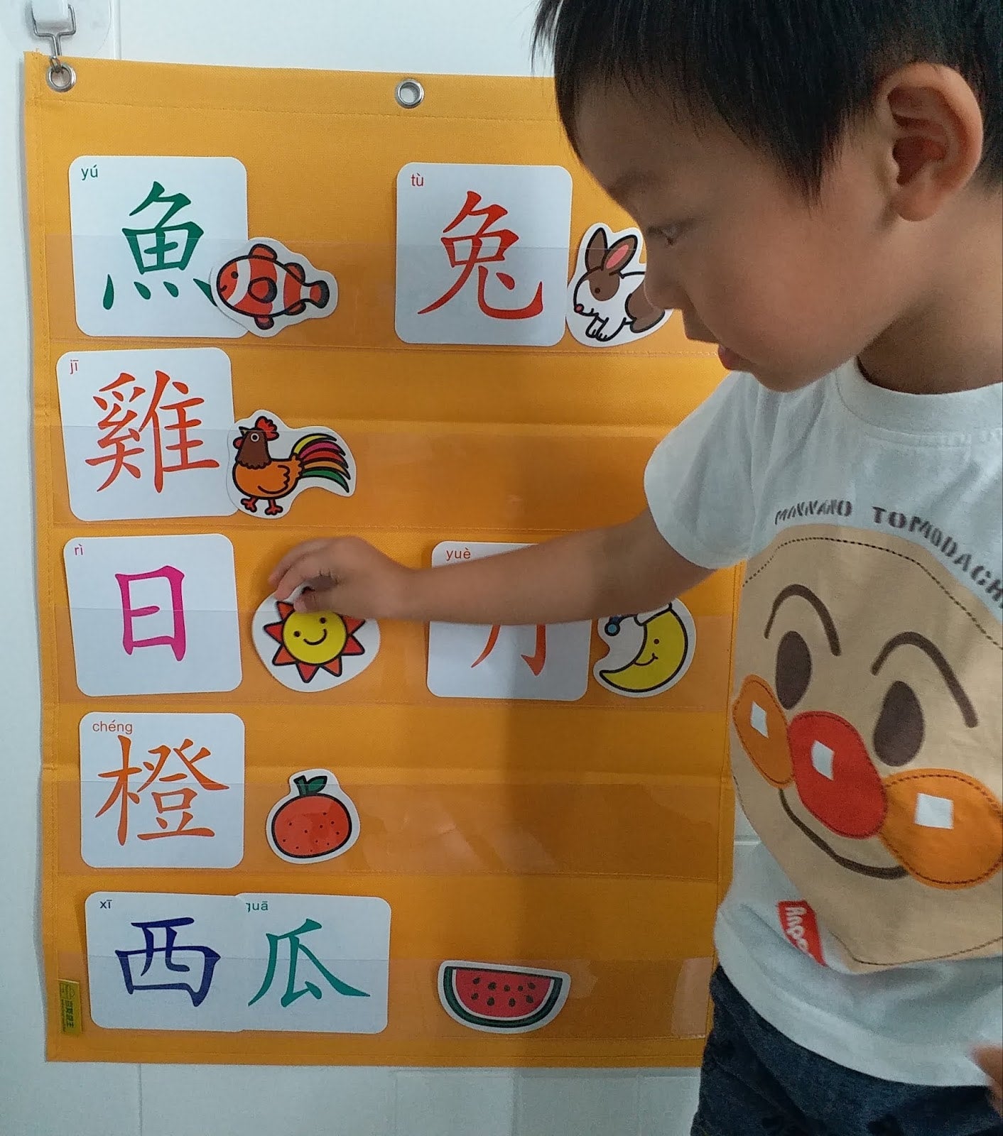 Hello Chart 大行字咭掛袋 M 10行 (綠色)
