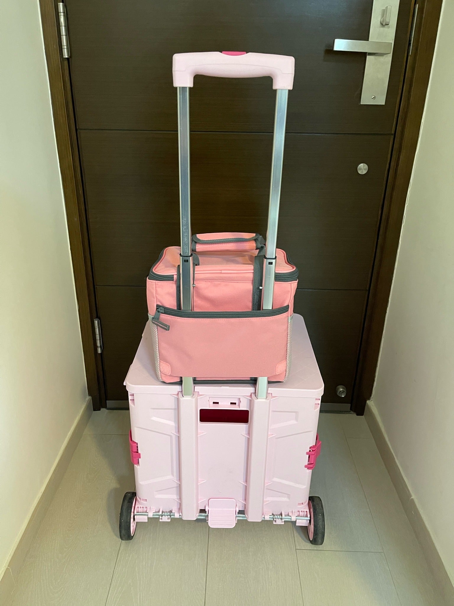 Hello Chilly 10L Large Capacity Cooler Bag (Strawberry)
