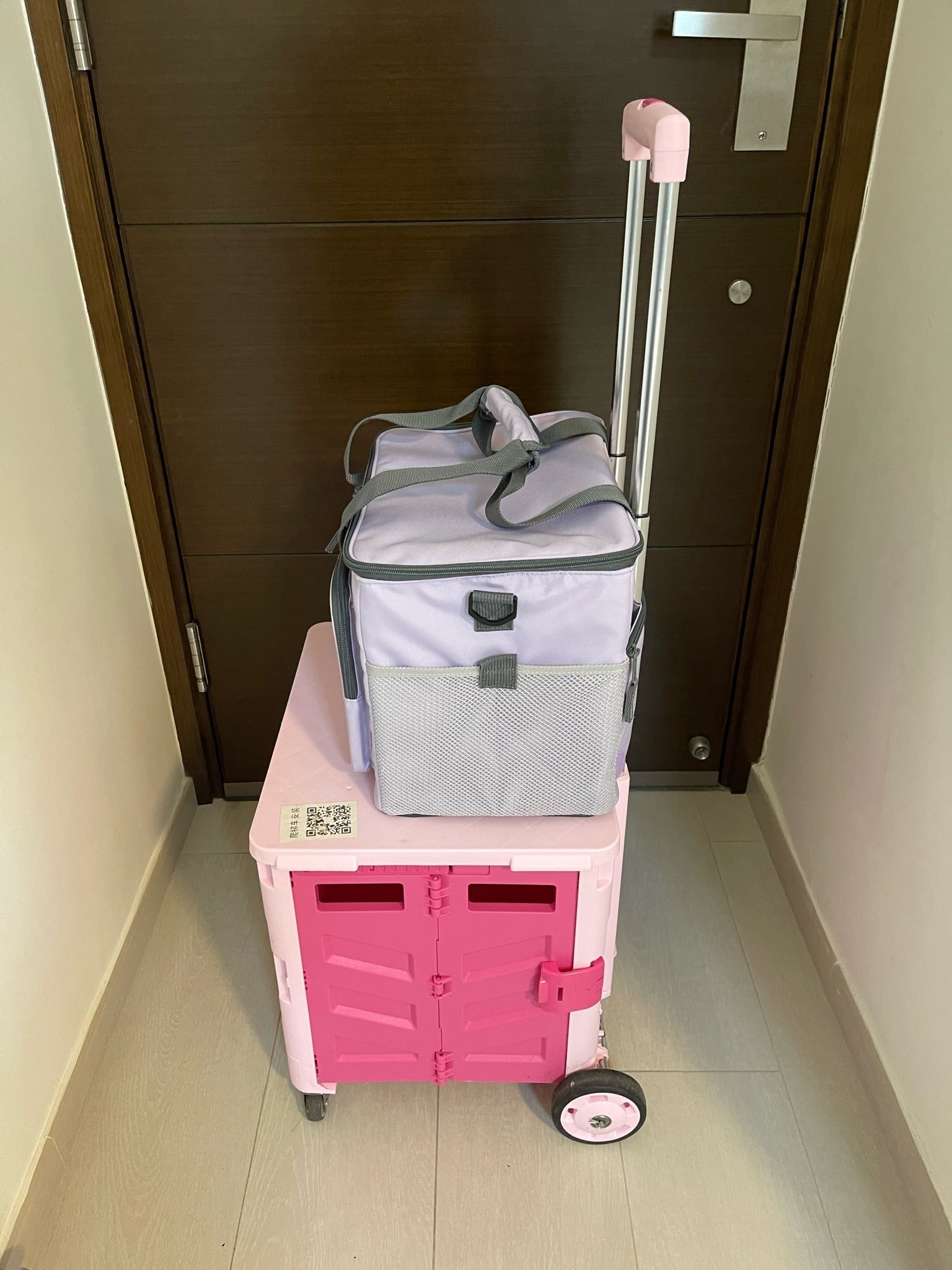 Hello Chilly 20L Large Capacity Cooler Bag (Macaron Purple)