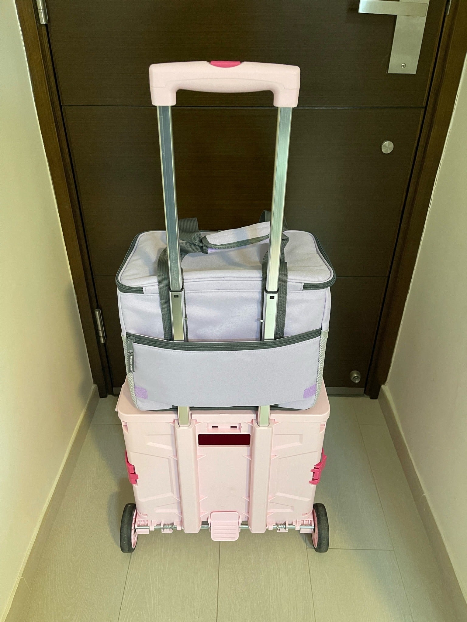 Hello Chilly 20L Large Capacity Cooler Bag (Macaron Purple)