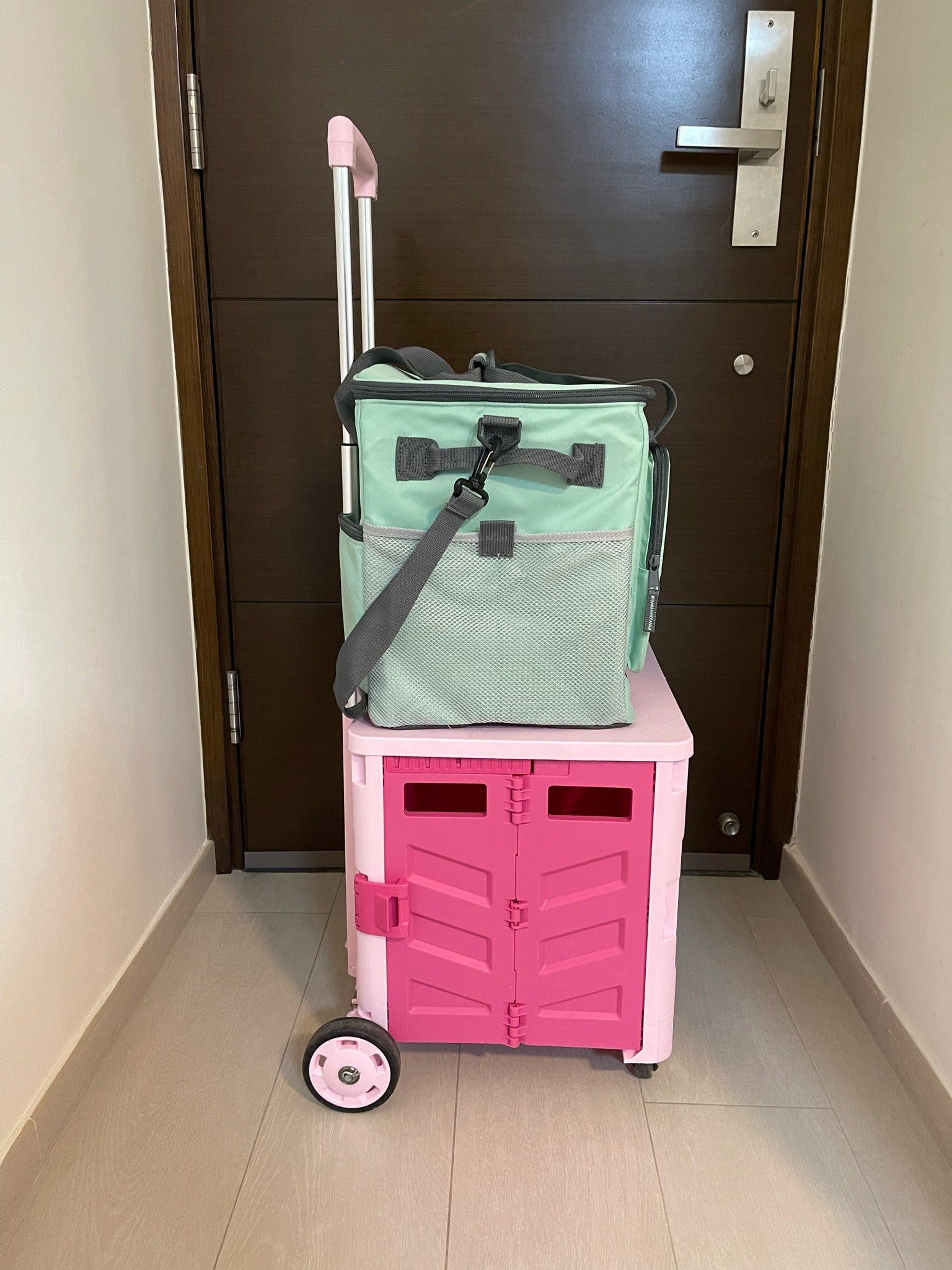 Hello Chilly 30L Large Capacity Cooler Bag (Macaron Green)