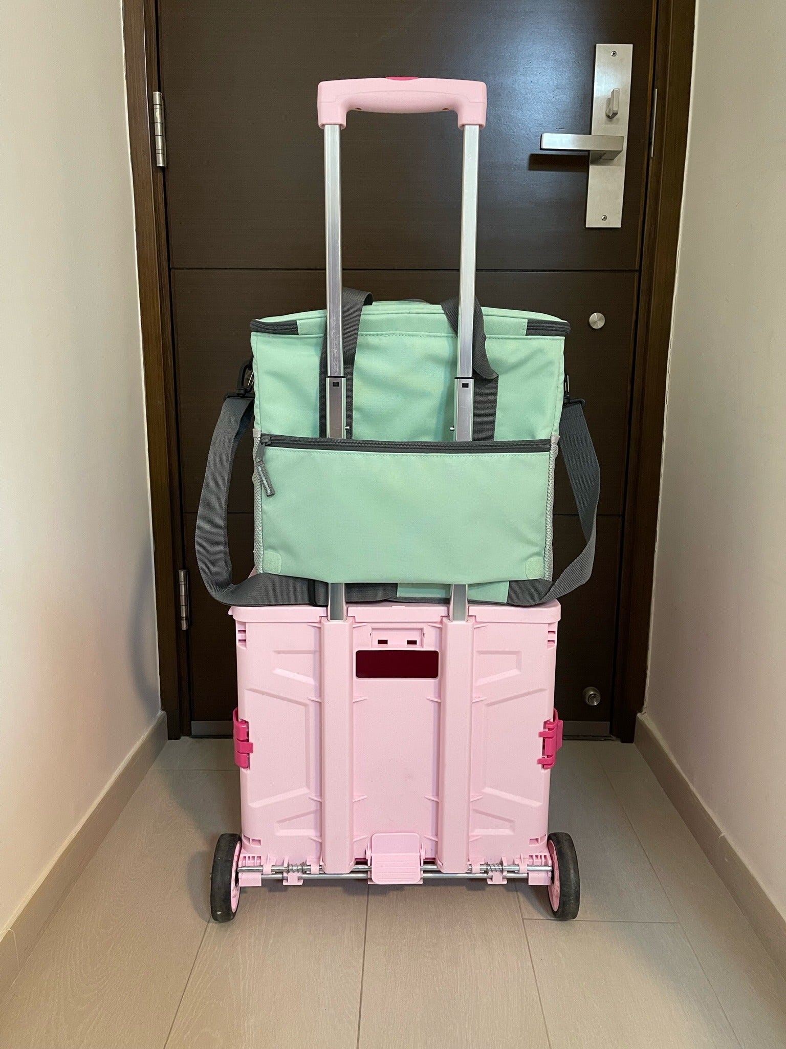 Hello Chilly 30L Large Capacity Cooler Bag (Macaron Green)