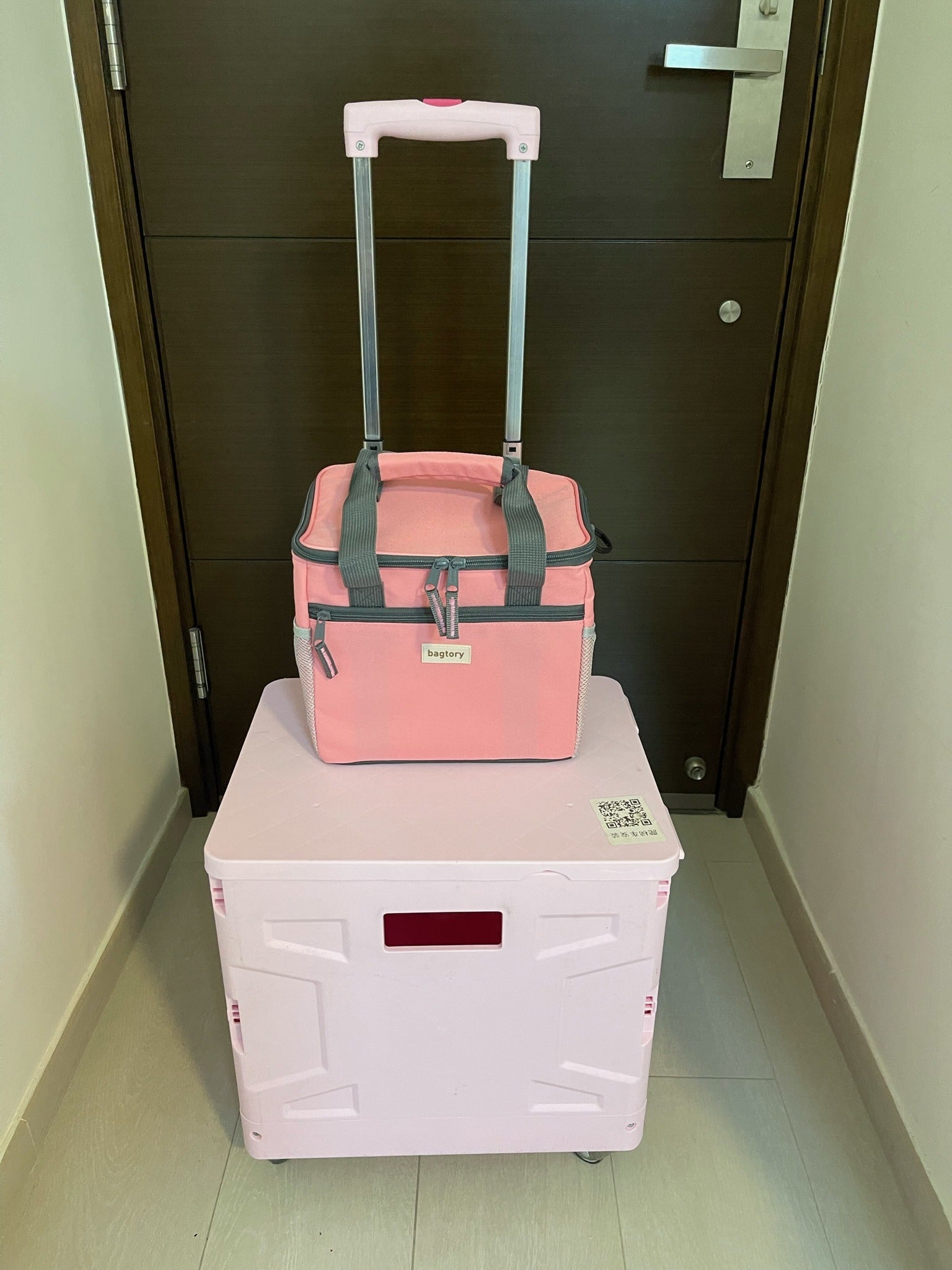 Hello Chilly 10L Large Capacity Cooler Bag (Strawberry)