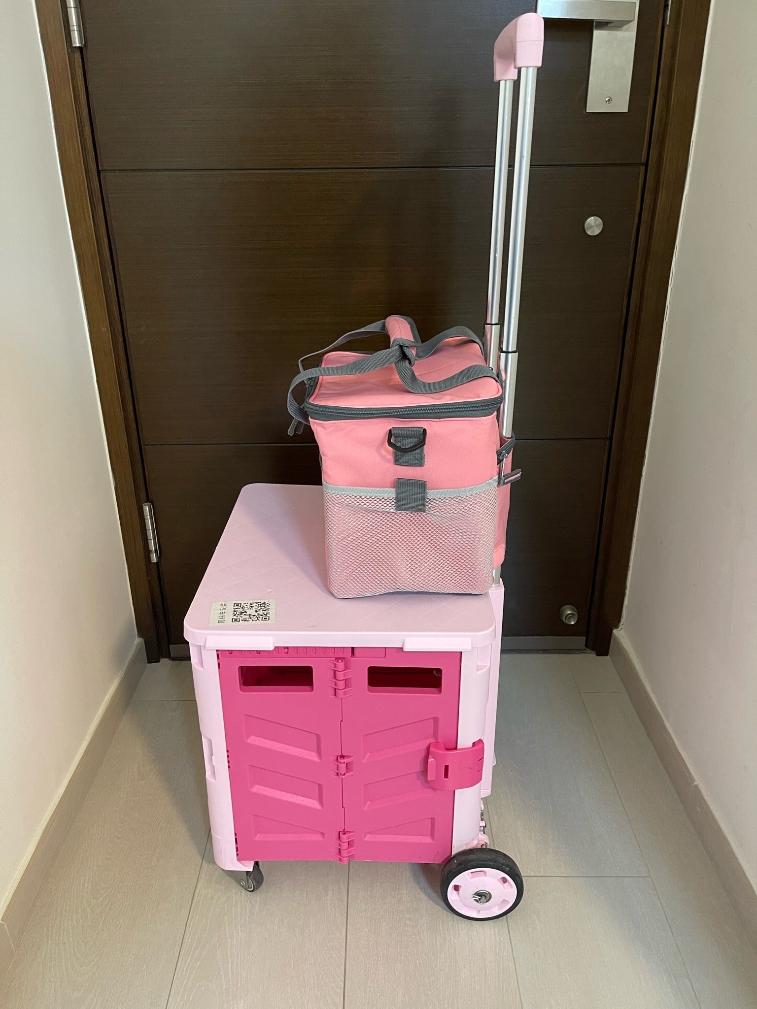 Hello Chilly 10L Large Capacity Cooler Bag (Strawberry)